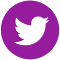Twitter Icon